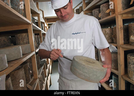 Daylesford Creamery fromager James McCall avec son seul fromage de Gloucester dans la main,avec Double Gloucester fromages sur des étagères Banque D'Images