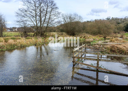 Le Test de la rivière qui coule dans Stockbridge, Hampshire, dans le sud de l'Angleterre, en hiver Banque D'Images