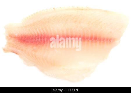 Filet de poisson cru isolé sur fond blanc Banque D'Images