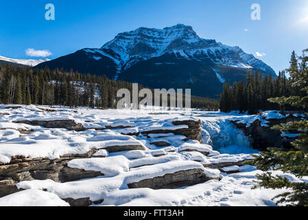 Les chutes Athabasca en hiver, Jasper National Park, Alberta, Canada Banque D'Images