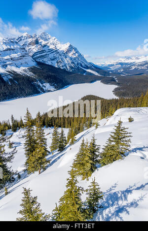 Vue du lac Peyto en hiver, Banff National Park, Alberta, Canada Banque D'Images
