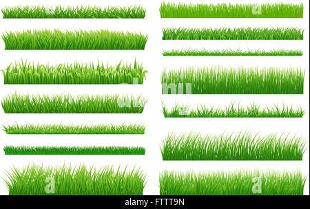 Jeu de l'herbe verte frontières horizontales. Collecte de l'herbe verte sur fond blanc pour votre conception. Éléments de conception pour le na Illustration de Vecteur