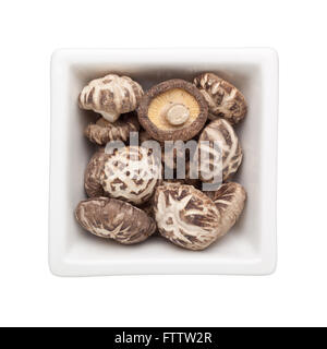 Champignons shiitake dans un bol carré isolé sur fond blanc Banque D'Images