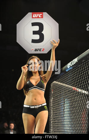 L'UFC Fight Night 84 au London's O2 Arena comprend : Luciana Andrande Où : London, Royaume-Uni Quand : 27 Feb 2016 Banque D'Images