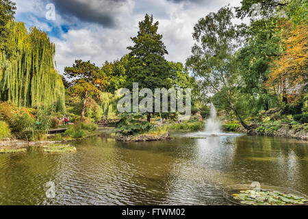 Le Jardin botanique de l'Université de Wroclaw est situé sur l'île de la Cathédrale, Wroclaw, Pologne, Europe Banque D'Images