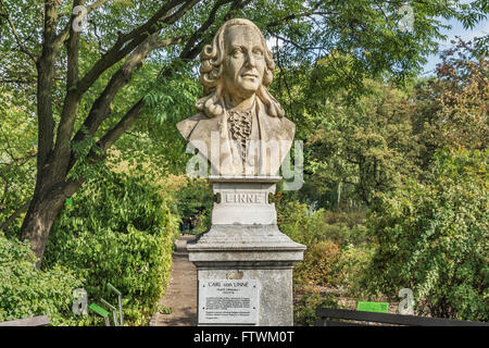 Le buste du naturaliste suédois Carl von Linne (1707-1778) est situé dans le Jardin botanique de Wroclaw, Pologne, Europe Banque D'Images