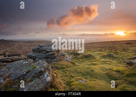 Lever du soleil à Rippon Tor dans le Dartmoor, dans le Devon, Angleterre. Banque D'Images