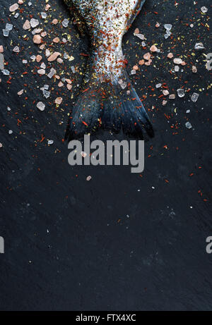 Queue de matières premières fraîches Dorado non cuits ou poissons daurade sur noir ardoise conseil avec les épices et le sel. Vue de dessus, copy space Banque D'Images