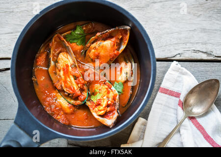 Les moules de Nouvelle-Zélande dans la tomate et les herbes sauce dans une casserole Banque D'Images