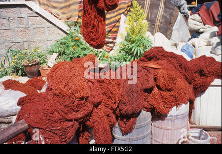 Écheveaux de laine teints de légumes naturels de la garance, rubia tinctoria, une racine dye, séchage dans un atelier de tapis traditionnels, Konya, Turquie Anatolie centrale Banque D'Images