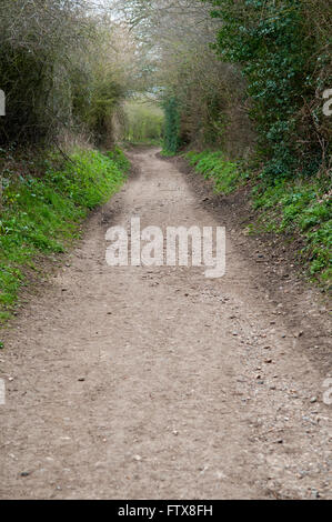 Vue vers le bas une route de campagne bordée d'Anglais Banque D'Images