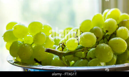 Raisins verts mûrs de Nice avec de l'eau gouttes Banque D'Images