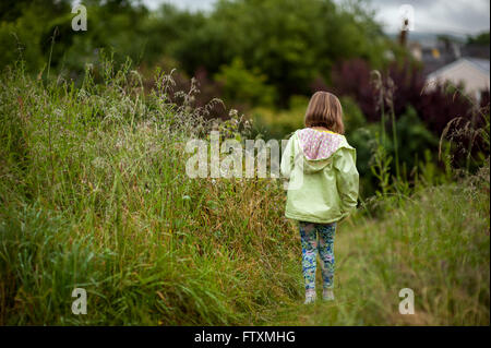 Vue arrière d'une fille qui marche dans la zone d'herbes hautes Banque D'Images