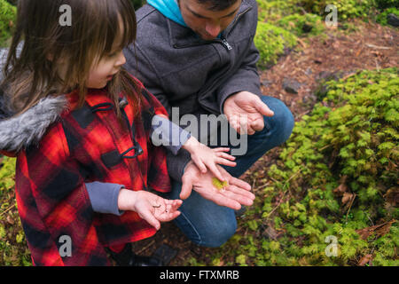 Jeune fille et un père à la forêt à feuilles de fougère à Banque D'Images