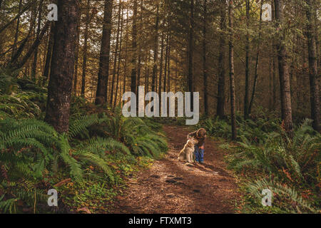 Boy stroking chiot golden retriever dog in forest Banque D'Images