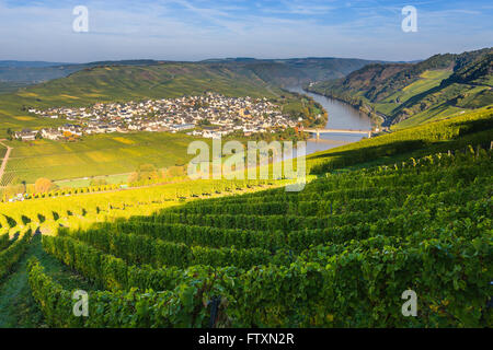 Coude de la Moselle avec les villages Traben-trarbach et Soye, dans l'ouest de l'Allemagne. Banque D'Images