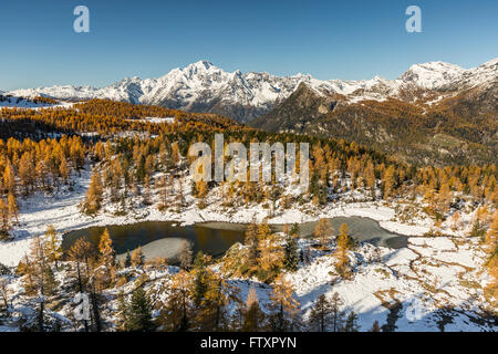 Vue aérienne du lac et le Mont Mufule Disgrazia entouré de mélèzes et de la neige d'automne. Banque D'Images