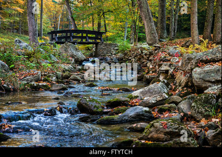 Autumn Forest, lecture, Vermont, Etats-Unis Banque D'Images