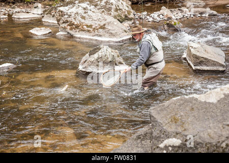 Angler prendre et relâcher sur la branche sud de la rivière Raritan dans New York, New Jersey. Banque D'Images