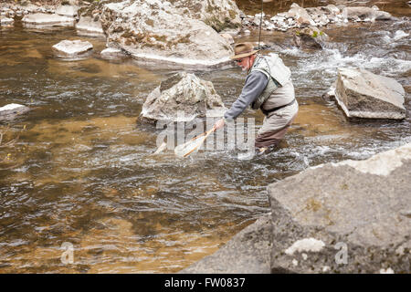 Angler prendre et relâcher sur la branche sud de la rivière Raritan dans New York, New Jersey. Banque D'Images
