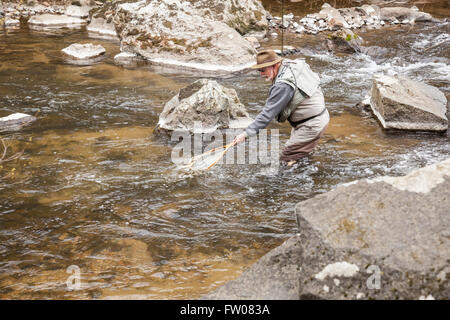 Angler prendre et relâcher sur la branche sud de la rivière Raritan dans New York, New Jersey. Banque D'Images