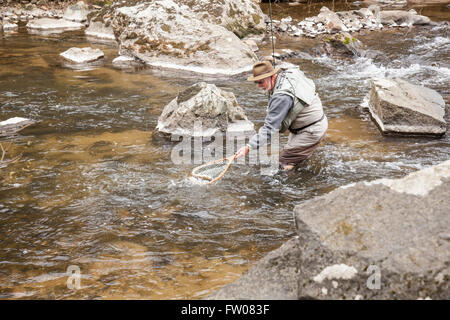 Angler prendre et relâcher sur la branche sud de la rivière Raritan dans New York, New Jersey. Banque D'Images
