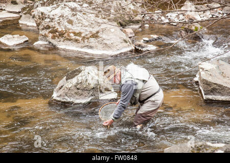 Angler prendre et relâcher sur la branche sud de la rivière Raritan dans New York, New Jersey. Banque D'Images