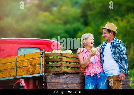 La récolte des pommes, Senior couple standing at vintage voiture rouge Banque D'Images