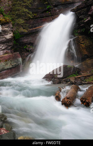 Baring Falls, Glacier National Park, Montana, USA Banque D'Images