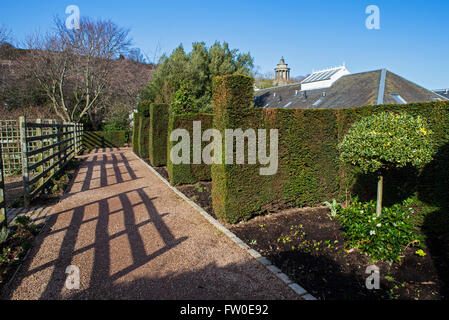 Une vue sur le beau jardin proche Dunbars, juste à côté de Canongate sur le Royal Mile d'Édimbourg, en Écosse. Banque D'Images