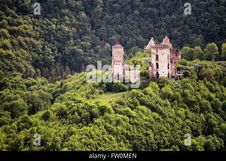 Ruines du vieux château au milieu de la forêt collines, Ukraine Banque D'Images