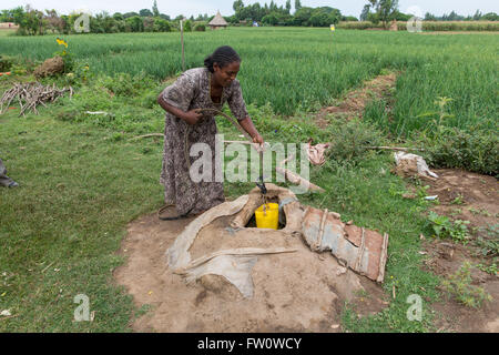Meki River Delta, l'Éthiopie, octobre 2013 Sambeta Gure, 28 ans, exploite l'eau de son bien Banque D'Images