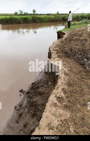Meki River Delta, l'Éthiopie, octobre 2013 l'érosion de la rivière en raison de la mauvaise gestion des bassins versants en amont. Banque D'Images