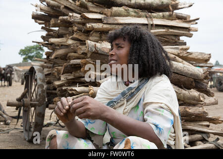 Meki Town Market, l'Éthiopie, octobre 2013 Abaru Girma, 50 ans, vient à la marché chaque semaine pour vendre le bois. Banque D'Images