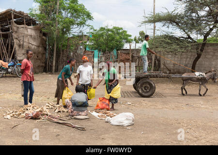 Meki Town Market, l'Éthiopie, Octobre 2013 : Les femmes d'acheter de petits fagots de bois au marché. Banque D'Images