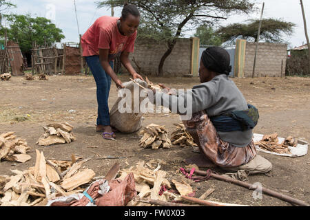 Meki Town Market, l'Éthiopie, Octobre 2013 : Les femmes d'acheter de petits fagots de bois au marché. Banque D'Images