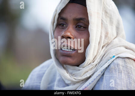 Lac Langano, Éthiopie, octobre 2013 Réunion du groupe de femmes de Kenan Woshe."Nous sommes inquiets à propos de la déforestation et la plantation d'arbres ont été." Banque D'Images