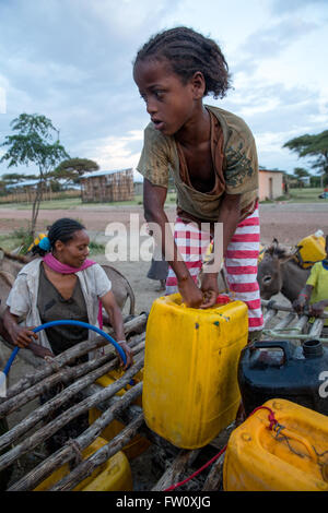 Hurufa Lole, près du lac Langano, Oromia, en Éthiopie, en octobre 2013 : les gens se rassemblent afin de recueillir l'eau d'un point d'eau. Banque D'Images