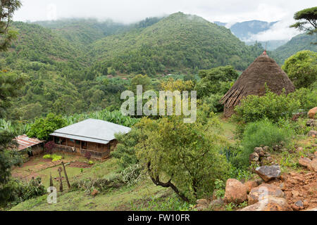 Muhe Gurage, village, l'Éthiopie, octobre 2013 Village housing. Banque D'Images