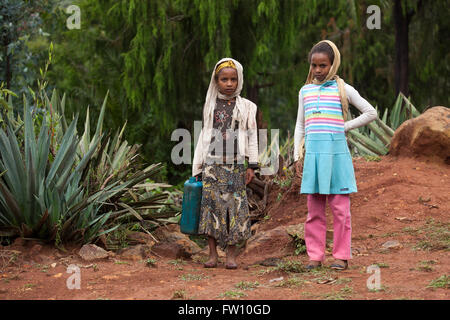 Muhe Gurage, village, l'Éthiopie, octobre 2013 Les enfants sur la façon d'aller chercher de l'eau. Photographie par Mike Goldwater Banque D'Images