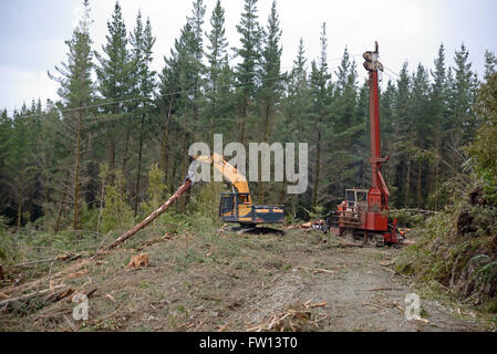 Un transporteur de câble traîne Pinus radiata fraîchement coupé se connecte sur l'atterrissage dans la forêt exotique sur la côte ouest de la Nouvelle-Zélande Banque D'Images