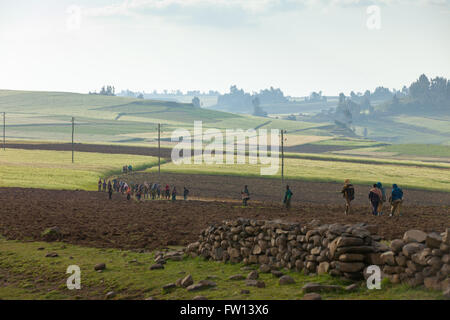 Nord Shewa, Amhara, Ethiopie, Octobre 2013 : les enfants rentrent à la fin de la journée scolaire. Banque D'Images
