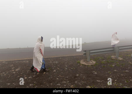 Fenêtre du Melenik, près de Debre Sina, l'Éthiopie, octobre 2013. Les promenades le long de la route, la zone est entourée de brouillard tôt le matin. Banque D'Images