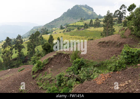 Wofwasha Kebele, Nord Shewa, Éthiopie, 2013 : les terres agricoles du Village, mal et en terrasses montrant des signes d'érosion. Banque D'Images