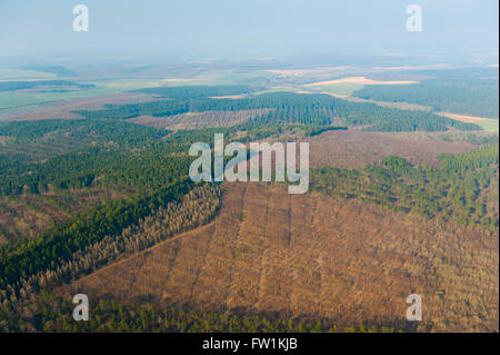Meuse (55), Malancourt, champs de batailles de la 1ere Guerre mondiale, de la cote 304 (vue aerienne) // France, Meuse (55), Verdun, Banque D'Images