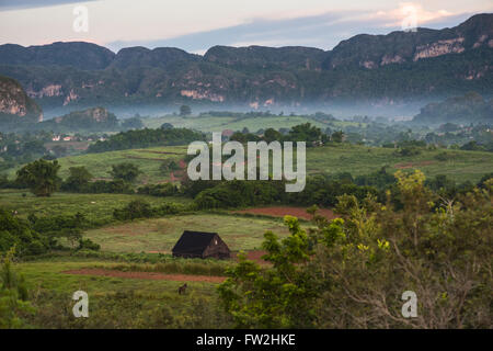 Paysage des montagnes de mogote en Vallée de Vinales à Cuba. Banque D'Images