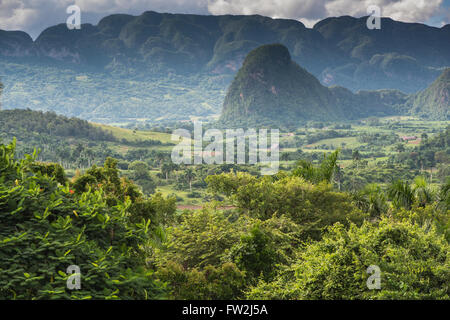 Paysage avec vue panoramique sur la Vallée des mogotes de Viñales, Cuba Banque D'Images