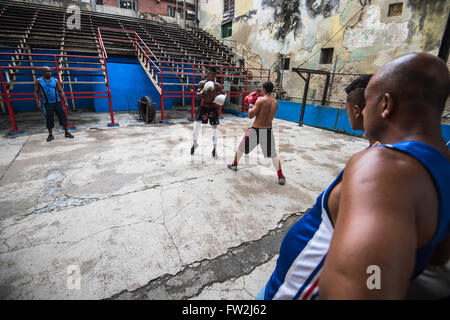 La Havane, Cuba - 22 septembre 2015 : les jeunes boxeurs dans la célèbre école de boxe Rafael Trejo dans la Vieille Havane, Cuba. Fort est Cuba n Banque D'Images