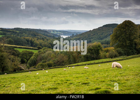 Paysage de campagne à l'automne dans les régions rurales de l'Angleterre Banque D'Images