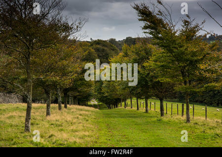 Paysage de campagne à l'automne dans les régions rurales de l'Angleterre Banque D'Images